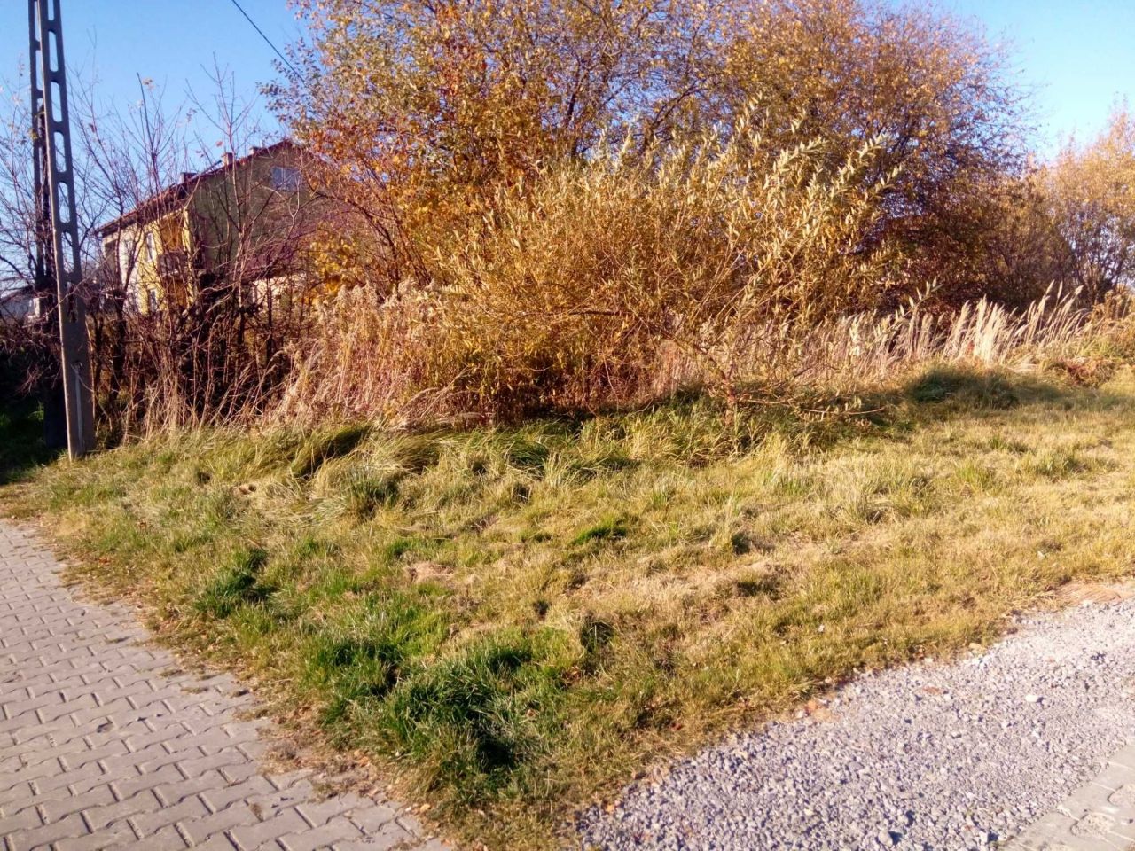 Działka rolno-budowlana Biłgoraj, ul. Narutowicza