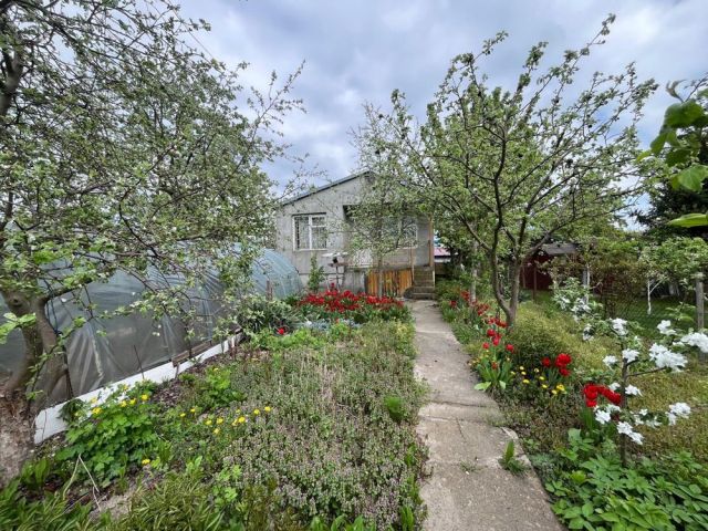 Działka rod Płock Ogrody, ul. Narodowych Sił Zbrojnych. Zdjęcie 1