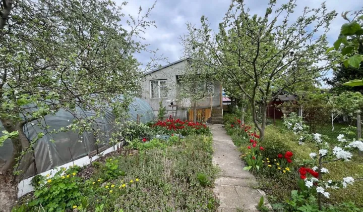 Działka rod Płock Ogrody, ul. Narodowych Sił Zbrojnych