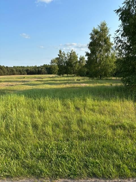 Działka rekreacyjna Krasice. Zdjęcie 5