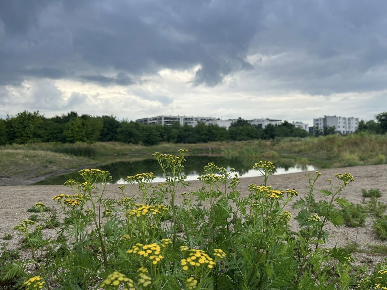 Mieszkanie 3-pokojowe Wrocław Krzyki, ul. Wietrzna. Zdjęcie 19