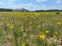Działka budowlana Ruda Strawczyńska. Zdjęcie 2