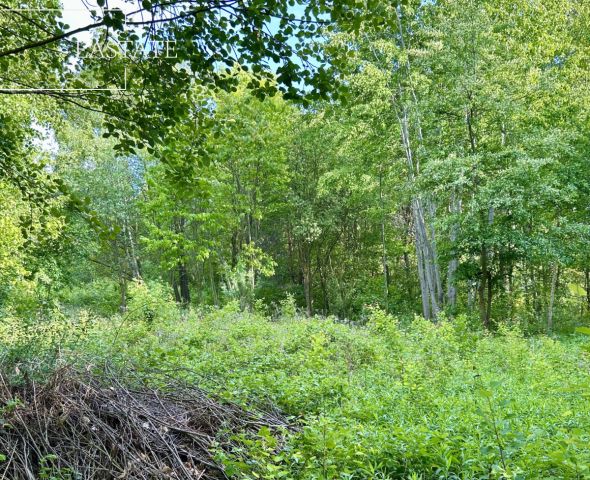 Działka budowlana Góra Kalwaria Marianki, ul. Walewicka. Zdjęcie 3