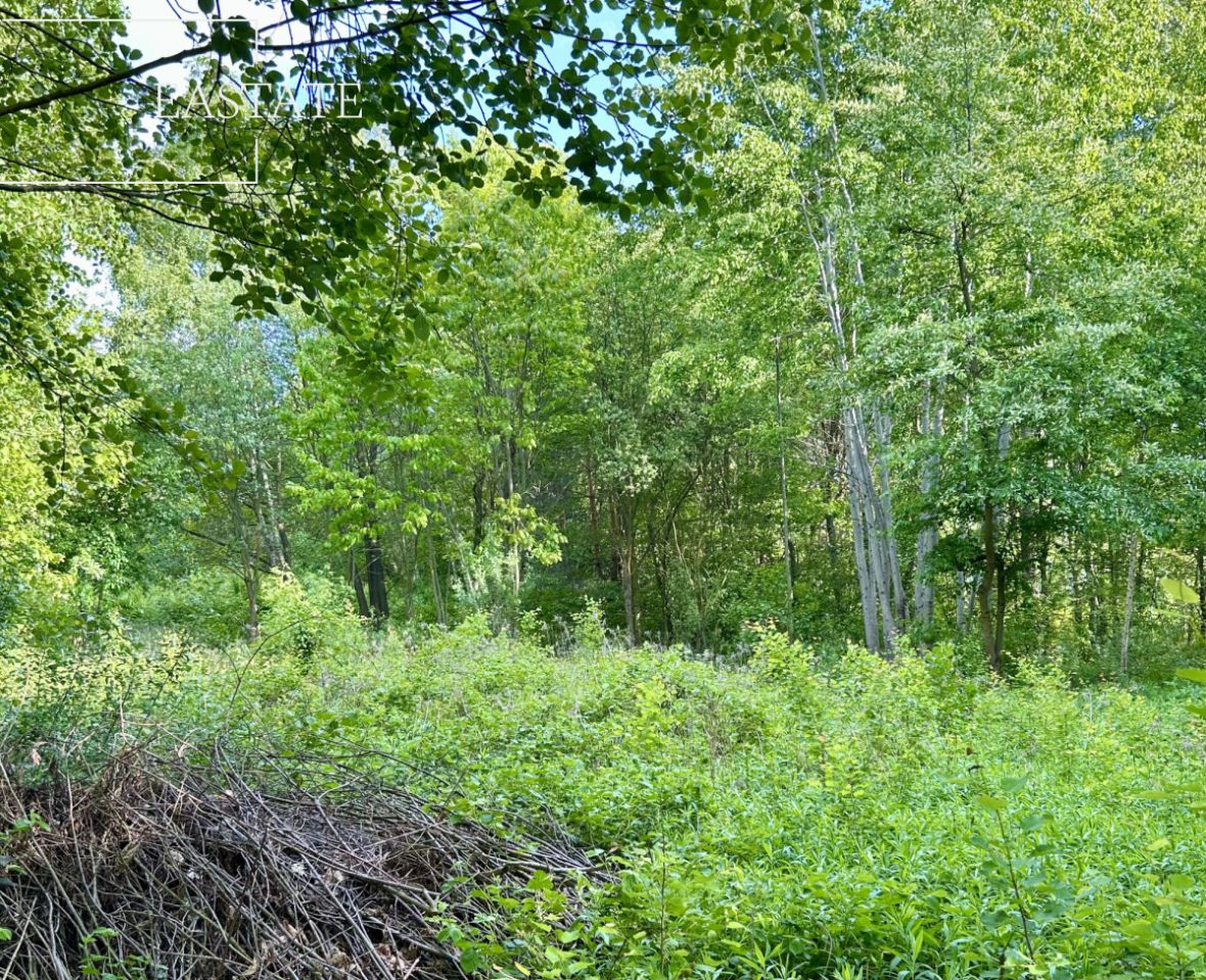 Działka budowlana Góra Kalwaria Marianki, ul. Walewicka. Zdjęcie 3