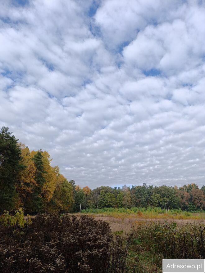 Działka budowlana Borowie. Zdjęcie 3