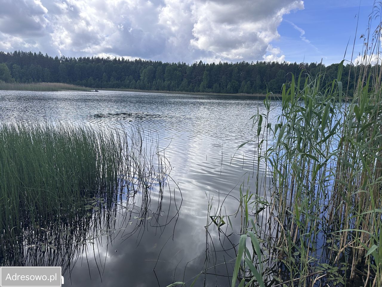 Działka rolno-budowlana Okunino. Zdjęcie 9