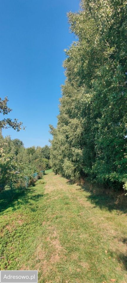 Działka siedliskowa Postolin. Zdjęcie 2