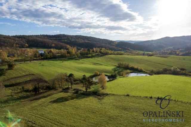 Działka inwestycyjna Kiełczawa. Zdjęcie 17