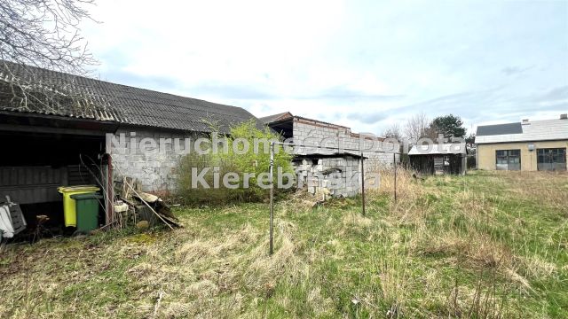 Działka Polichno. Zdjęcie 13