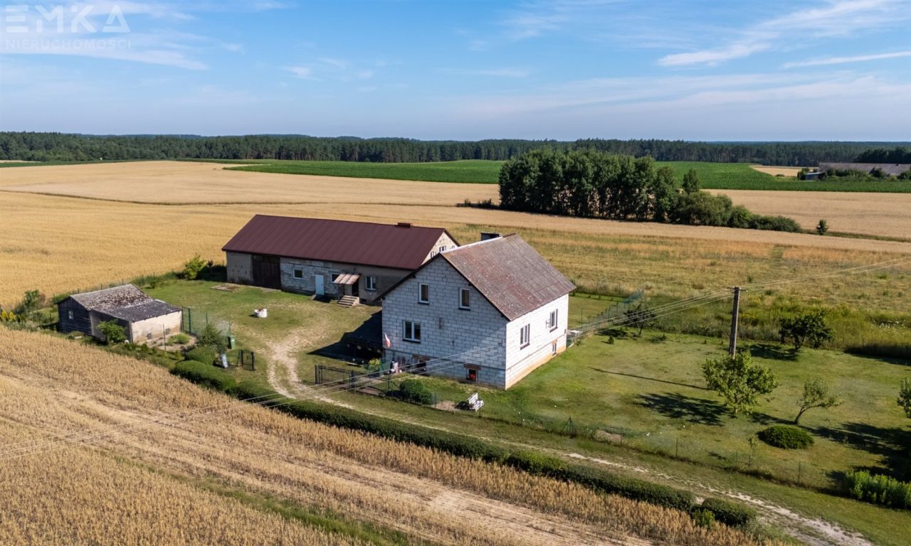 dom wolnostojący, 5 pokoi Sierosław. Zdjęcie 17