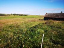 Działka rolna Kowale Oleckie. Zdjęcie 2