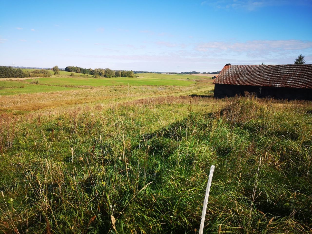 Działka rolna Kowale Oleckie. Zdjęcie 3