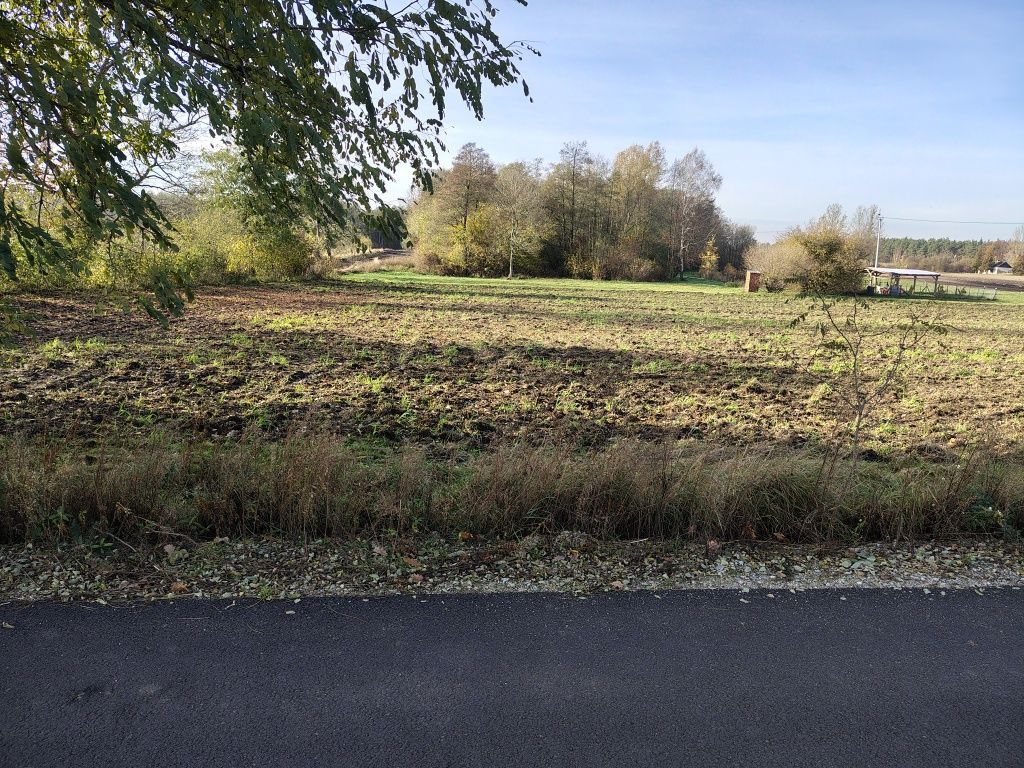 Działka rolna Zaryń. Zdjęcie 7