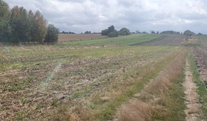 Działka budowlana Tarnowskie Góry, ul. Konduktorska