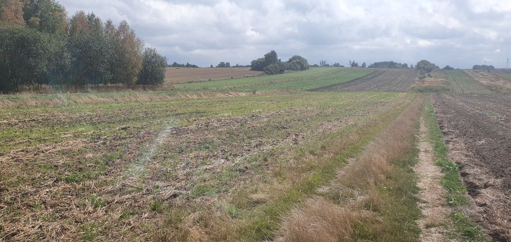Działka budowlana Tarnowskie Góry, ul. Konduktorska. Zdjęcie 1
