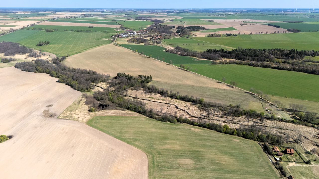 Działka rolno-budowlana Gołębiewo. Zdjęcie 7