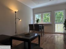 Mieszkanie 1-pokojowe Łódź Teofilów, ul. Rojna. Zdjęcie 3