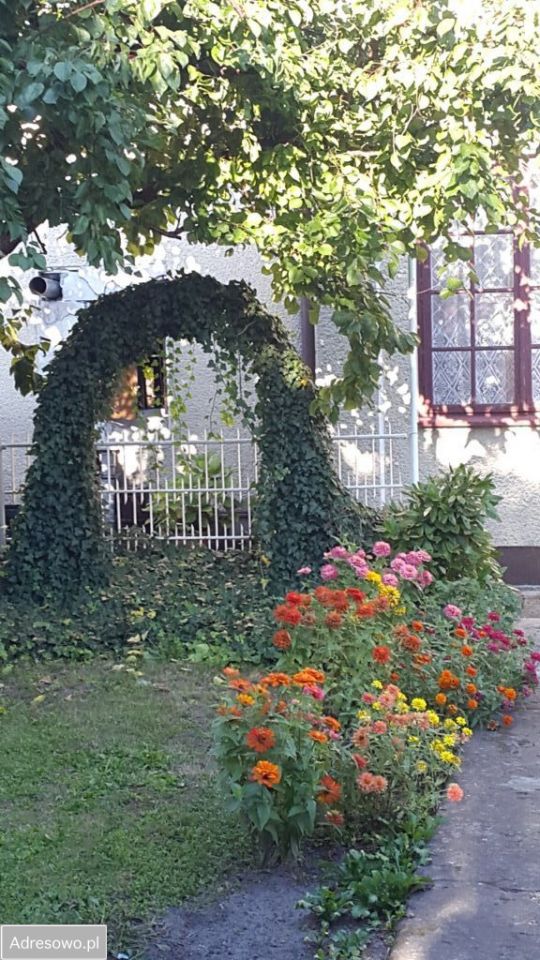 kamienica Warka Centrum, pl. Stefana Czarnieckiego. Zdjęcie 13
