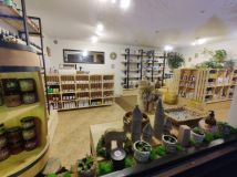 Lokal Stęszew. Zdjęcie 1