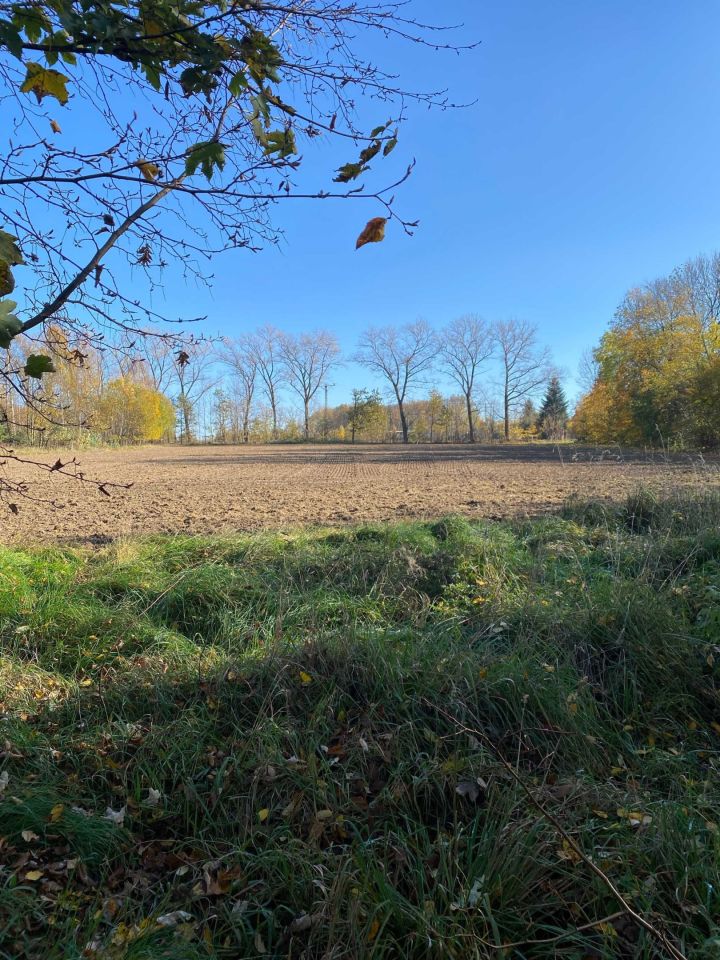 Działka budowlana Biedrzychowice. Zdjęcie 3