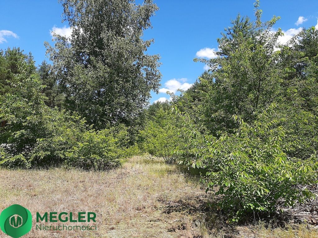Działka budowlana Musuły. Zdjęcie 3