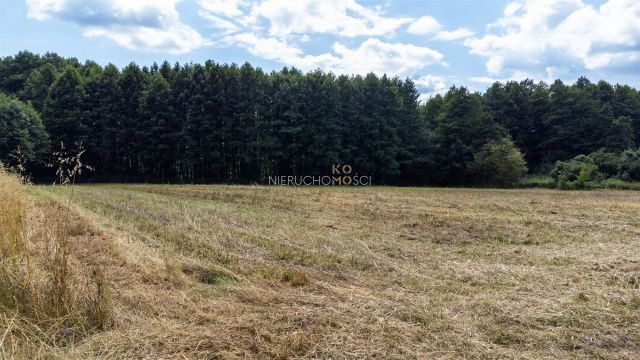 Działka budowlana Stary Wołów. Zdjęcie 16