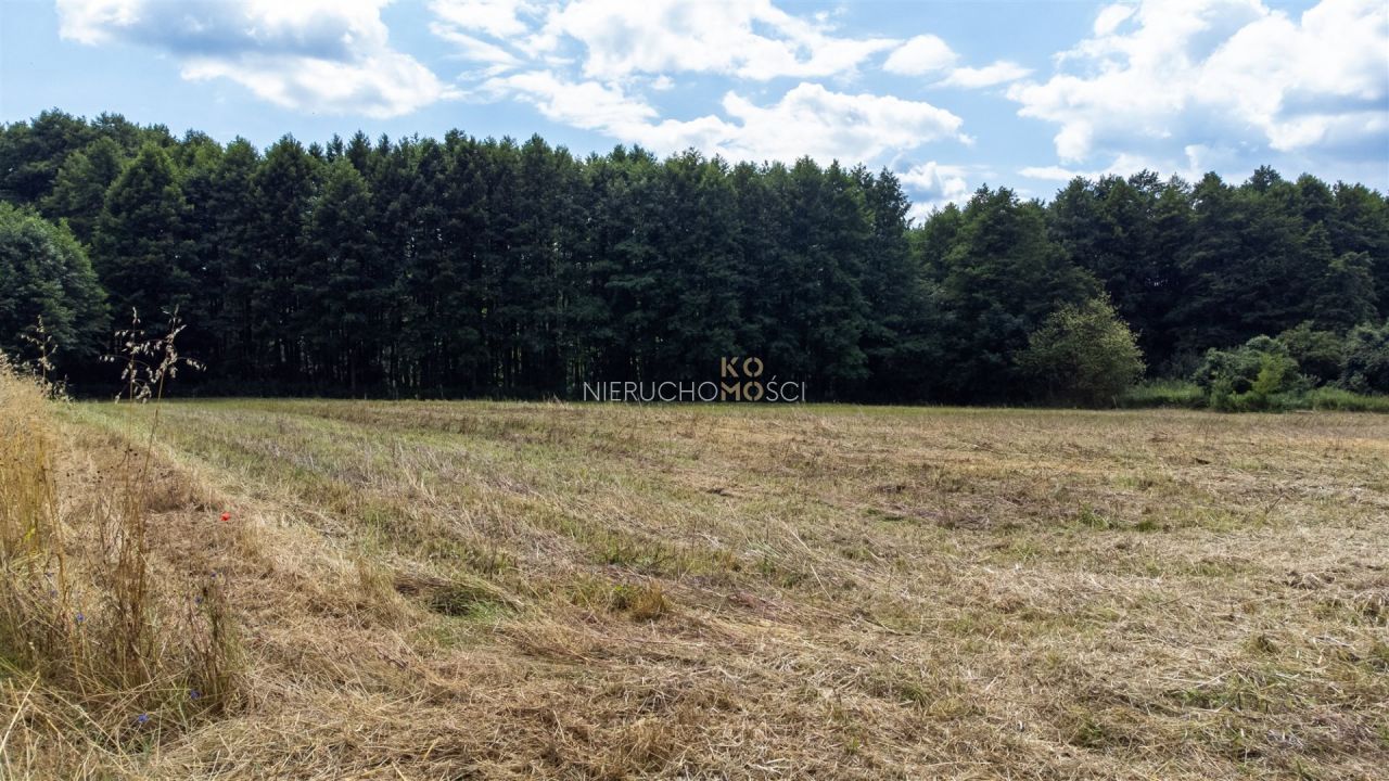 Działka budowlana Stary Wołów. Zdjęcie 16