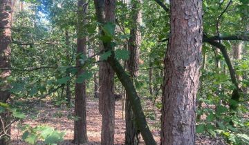 Działka leśna Apolonia, ul. Leśna