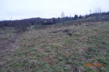 Działka budowlana Golkowice Zarzecze. Zdjęcie 4