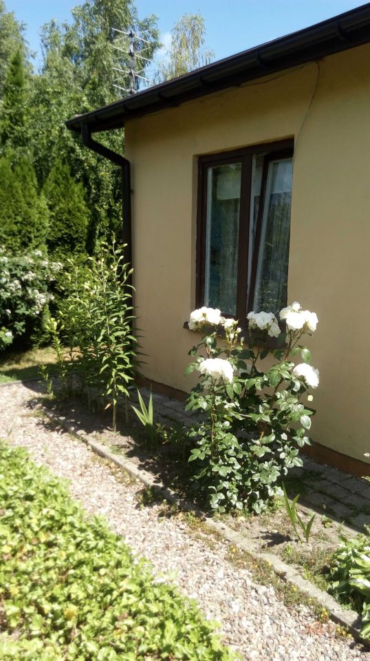 Działka rod Piotrków Trybunalski, ul. Wronia. Zdjęcie 4