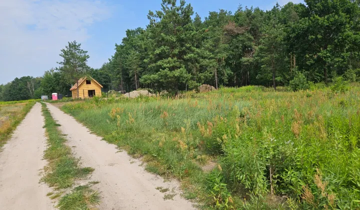 Działka budowlana Zawodne, ul. Kwiatów Polnych