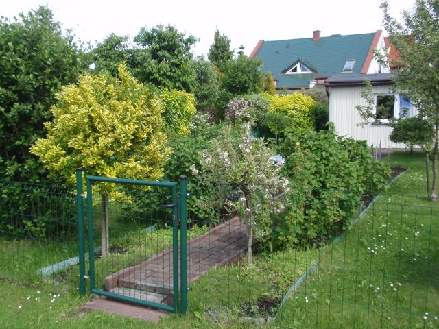 Działka rod Bielsko-Biała Kamienica, ul. Daliowa. Zdjęcie 1
