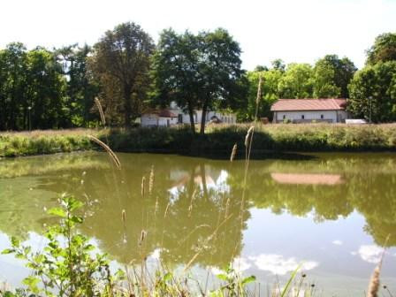 dworek, 11 pokoi Nowa Pogorzel, ul. Pałacowa. Zdjęcie 3