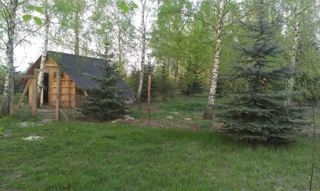 Działka rolno-budowlana Sierzchowy. Zdjęcie 5