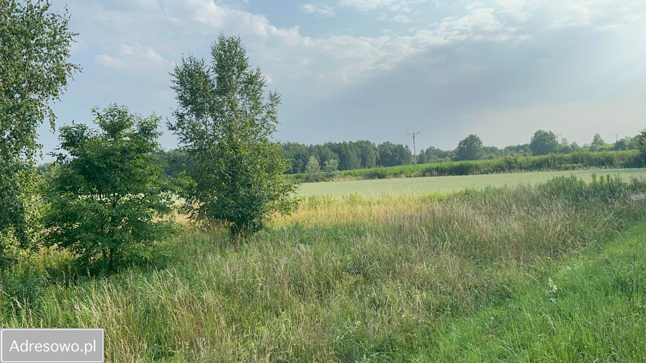 Działka budowlana Pasikurowice, ul. Motylkowa