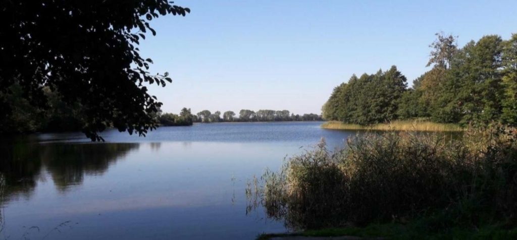 Działka budowlana Cierzpięty. Zdjęcie 3