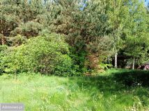 Działka Stara Wieś. Zdjęcie 4