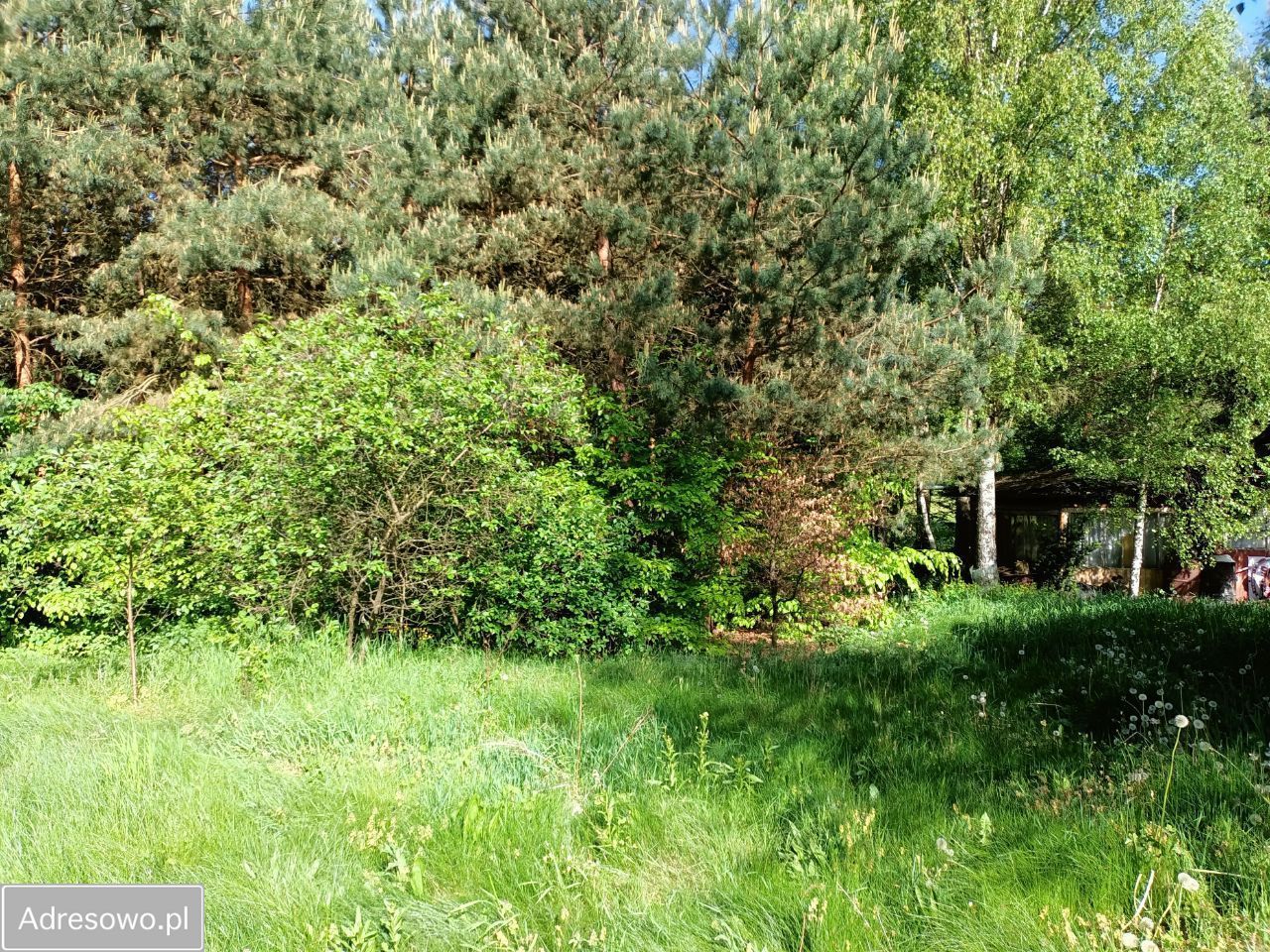 Działka Stara Wieś. Zdjęcie 5