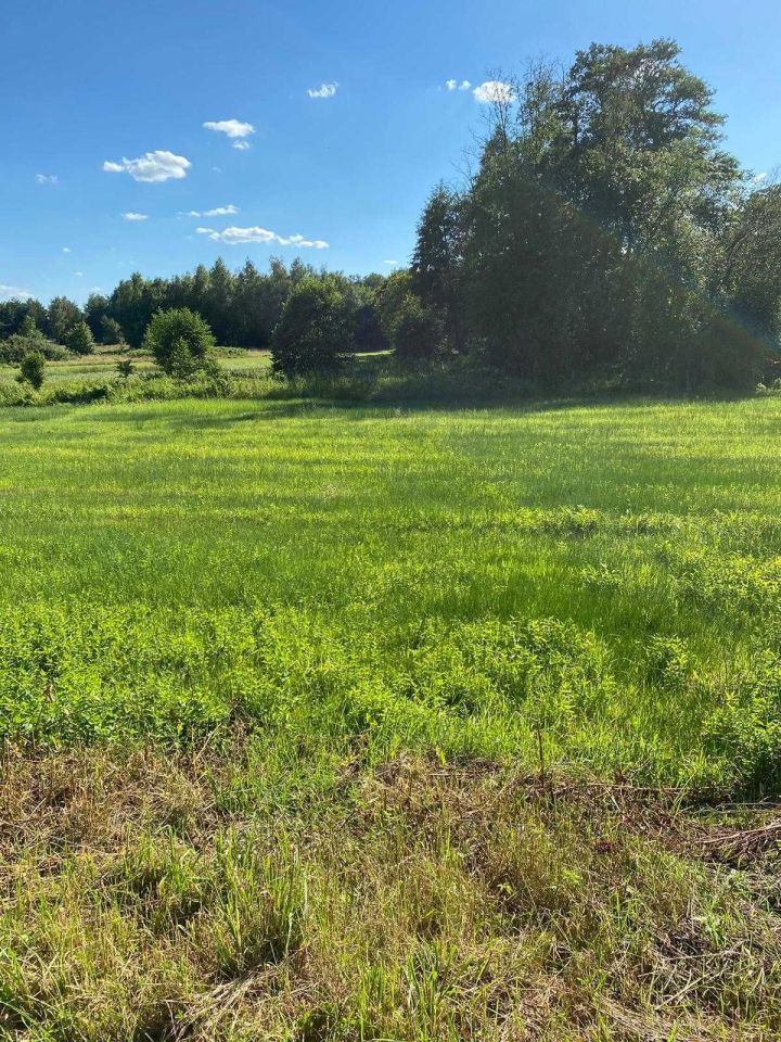 Działka rolno-budowlana Janowiec. Zdjęcie 4