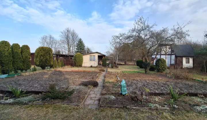 Działka rod Pabianice, ul. Jana Pawła II