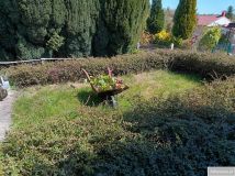 Działka rod Szczecin, ul. Ostrowska. Zdjęcie 2