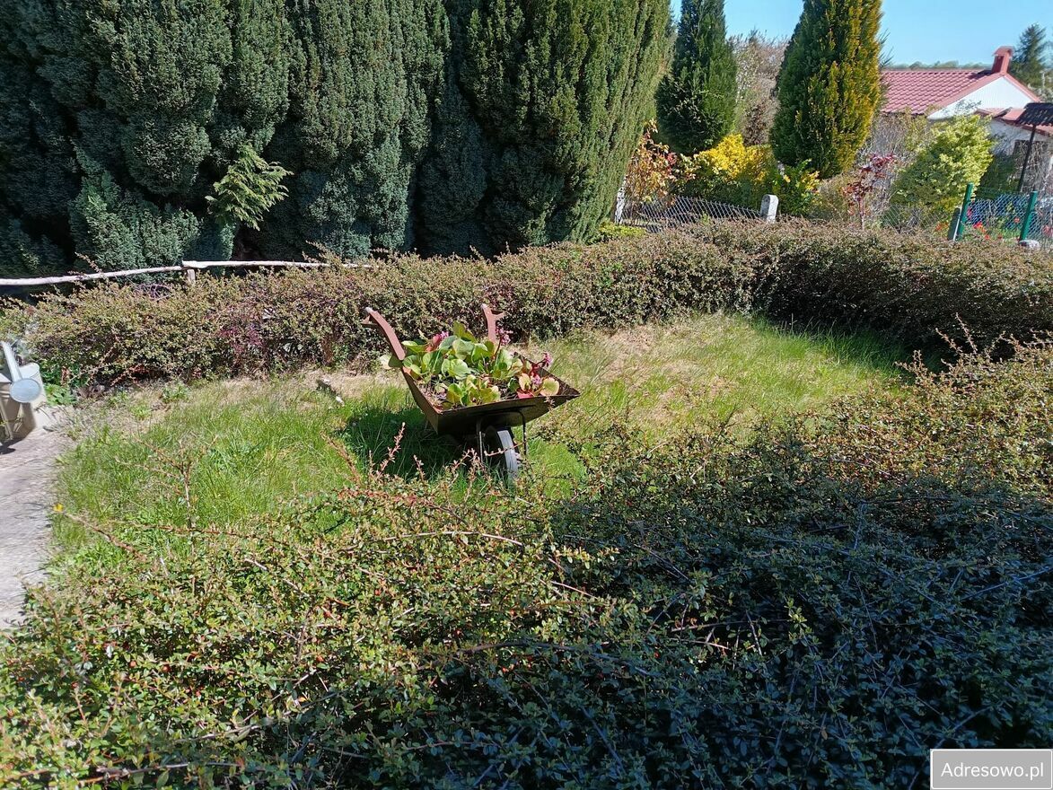 Działka rod Szczecin, ul. Ostrowska. Zdjęcie 3