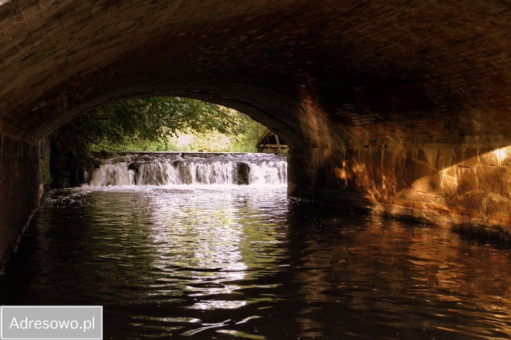 Nieruchomość komercyjna Babigoszcz. Zdjęcie 9