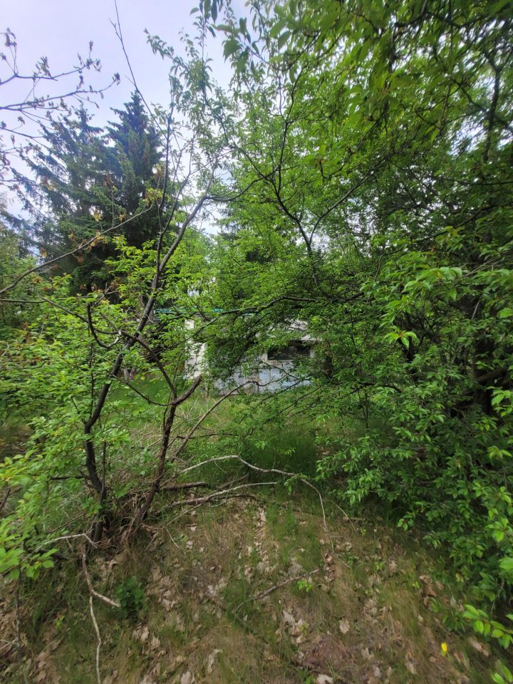 Działka rolno-budowlana Kania Nowa, ul. Serocka. Zdjęcie 8