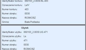 Działka leśna Roskosz