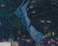 Działka rolna Łęgno. Zdjęcie 2