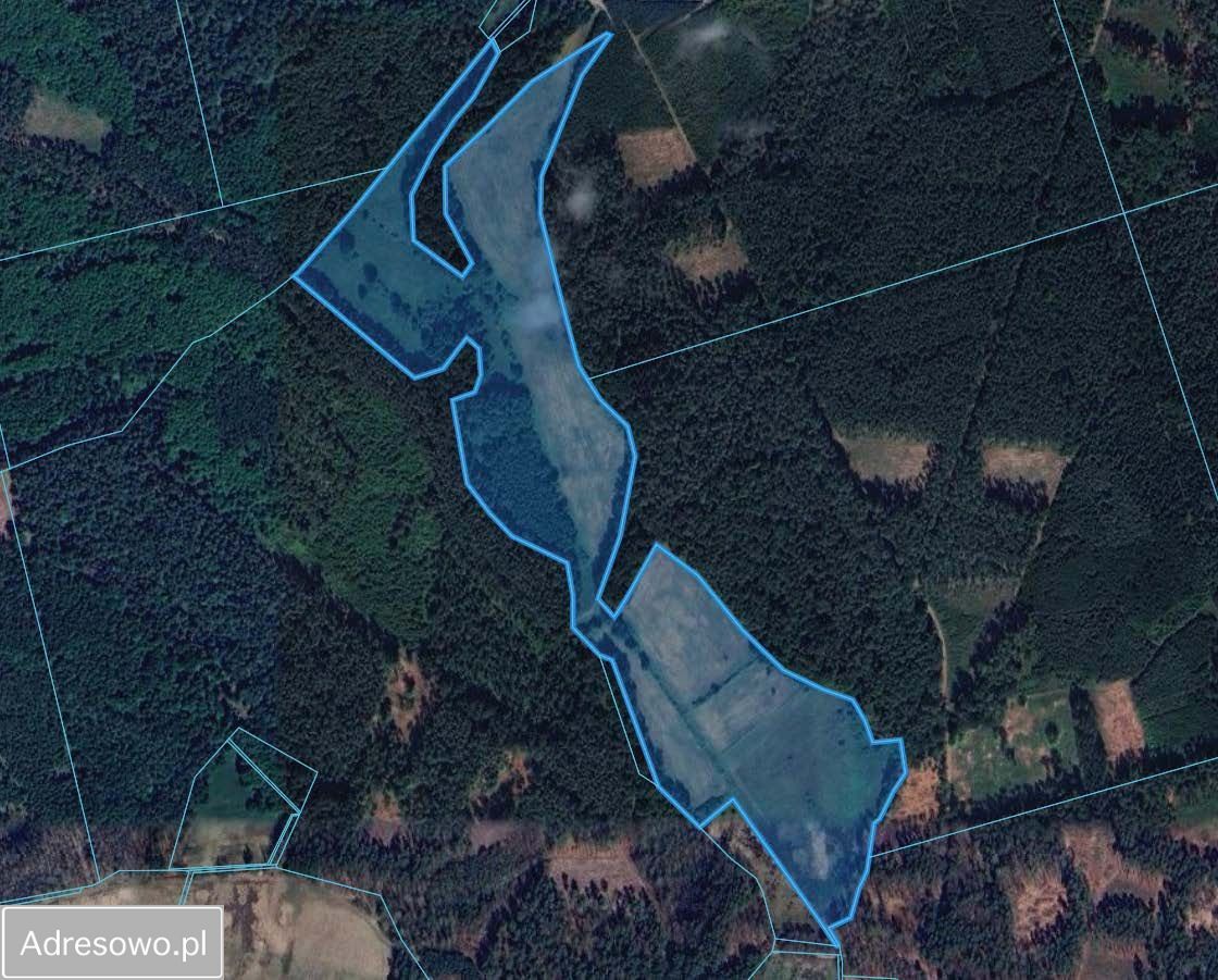 Działka rolna Łęgno. Zdjęcie 3