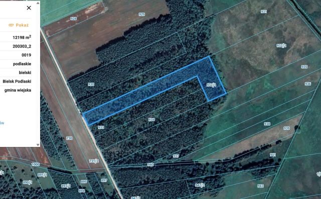 Działka leśna Kotły. Zdjęcie 1