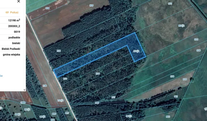 Działka leśna Kotły