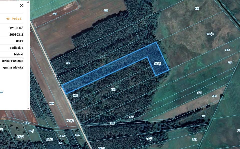 Działka leśna Kotły. Zdjęcie 1